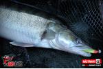 Ripper REDBASS SWIMMER SLIM S FAT - 75 mm