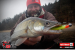 Ripper REDBASS SWIMMER SLIM S FAT - 75 mm