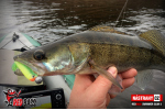 Ripper REDBASS SWIMMER SLIM S FAT - 75 mm