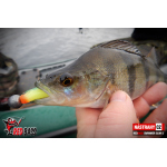 Ripper REDBASS SWIMMER SLIM S - 70 mm