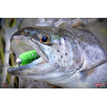 MICRO TROUT GRUB S 3 x 16 mm REDBASS