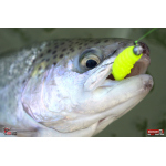 MICRO TROUT GRUB S 3 x 16 mm REDBASS