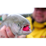 MICRO TROUT GRUB S 3 x 16 mm REDBASS