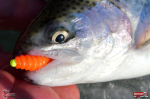 TROUT GRUB L 3 x 25 mm REDBASS