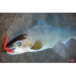 Červosmáčik REDBASS WORMETO 77 mm