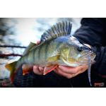Červosmáčik REDBASS WORMETO 77 mm