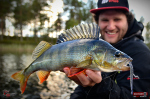 Červosmáčik REDBASS WORMETO 77 mm