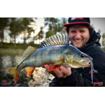 Červosmáčik REDBASS WORMETO 77 mm