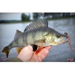 Červosmáčik REDBASS WORMETO 77 mm