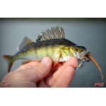 Červosmáčik REDBASS WORMETO 77 mm