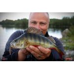 Červosmáčik REDBASS WORMETO 77 mm
