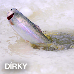 VŠETKO NA DIERKY