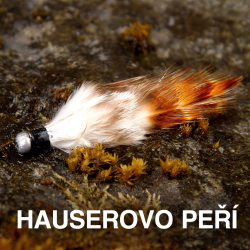Hauserovo perie