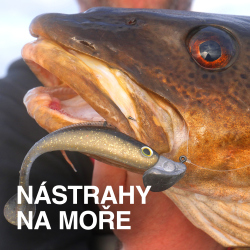 Nástrahy na more