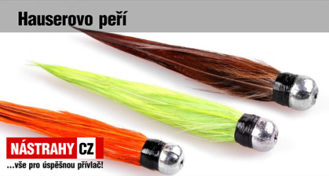 Hauserovo perie Hauserovo perie