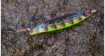 Color: Brown Trout (06)