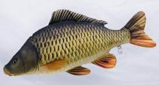 Vankúš – Kapor – 100 cm
