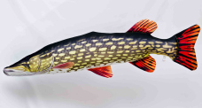 Vankúš – Štika – 200 cm