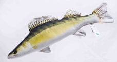 Vankúš – Zubáč – 50 cm