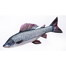 Vankúš – Lipeň – 65 cm
