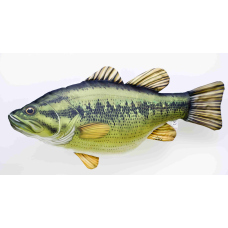 Vankúš – Black Bass – 67 cm