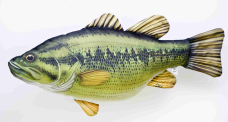 Vankúš – Black Bass – 67 cm