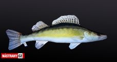 Vankúš - ZUBÁČ - 76 cm