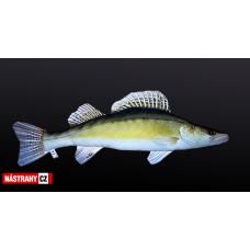 Vankúš - ZUBÁČ - 76 cm