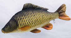 Vankúš - Kapor - 64 cm