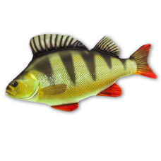 Vankúš - OSTRIEŽ mini - 35 cm
