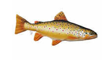 Vankúš - PSTRUH POTOČNÝ - 62 cm Vankúš - PSTRUH POTOČNÝ - 62 cm