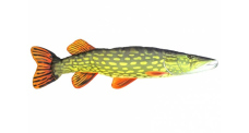 Vankúš - ŠŤUKA - 80 cm