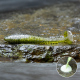 BLISTR 4 ks - OLIVE/SILVER +0,00 €
