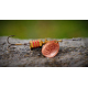 Color: copper