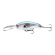 Gizzard Shad