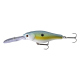 Blue Perch