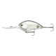 Magic Shad