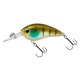 Ghost Gill