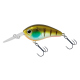Ghost Gill