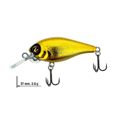 Wobler Biggie 37 DD River2Sea