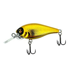 Wobler Biggie 37 DD River2Sea