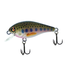 Wobler Biggie 37 SD River2Sea