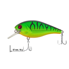 Wobler Biggie 67 River2Sea