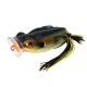 Color: Bream