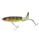 Color: Perch