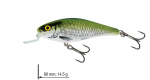 Color: OLIVE BLEAK