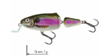 Color: SPOT BAIT