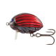 Color: BLOODY BUG