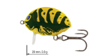 Color: WASP