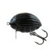 Color: BLACK BUG